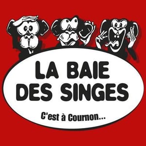 La Baie des Singes