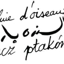 La Pluie d'Oiseaux