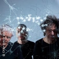 The Young Gods, Appear Disappear (40 ans)