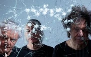 The Young Gods, Appear Disappear (40 ans)