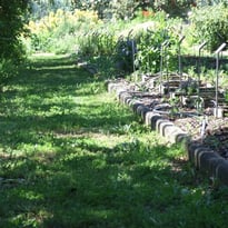 Visite du jardin Botanique de Clermont Ferrand