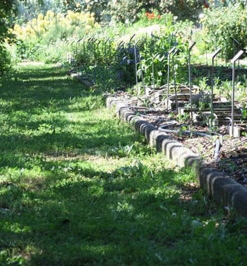 Visite du jardin Botanique de Clermont Ferrand