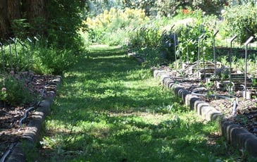 Visite du jardin Botanique de Clermont Ferrand