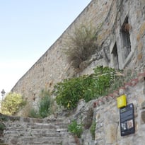 Visite-guidée de l'abri Durif et Moliard