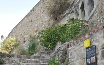 Visite-guidée de l'abri Durif et Moliard
