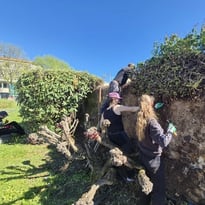 Visite guidée : sur les traces des murailles de Billom
