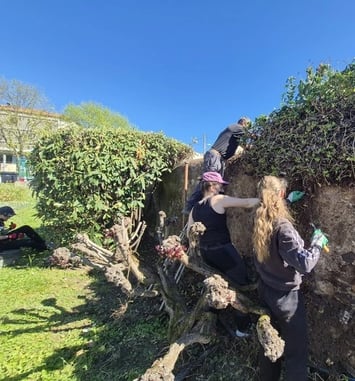 Visite guidée : sur les traces des murailles de Billom