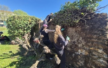 Visite guidée : sur les traces des murailles de Billom