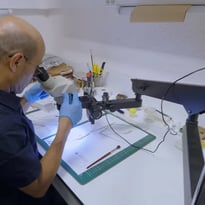 Dans les coulisses du muséum
