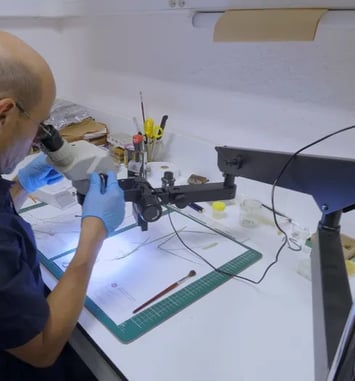 Dans les coulisses du muséum