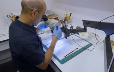 Dans les coulisses du muséum