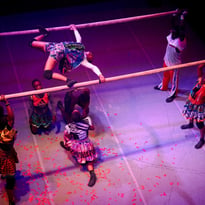 Yongoyély, Circus Baobab