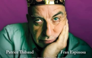 Une Histoire de France, Patrice Thibaud