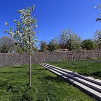 Montferrand hors les murs, visite en famille