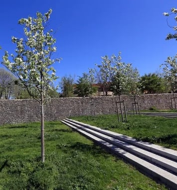 Montferrand hors les murs, visite en famille