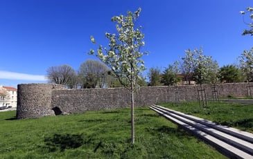 Montferrand hors les murs, visite en famille