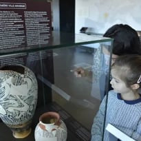Visite libre gratuite du Musée de Gergovie