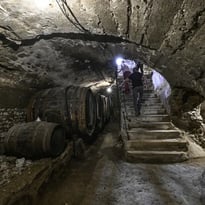 Histoire de la vigne en Bassey Auvergne