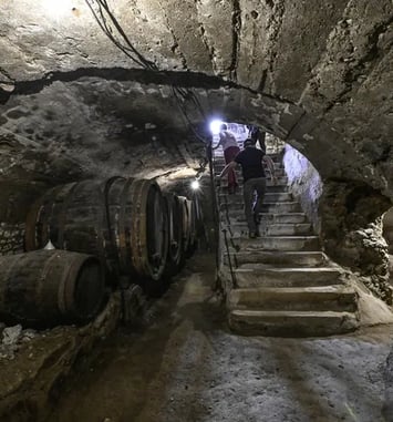 Histoire de la vigne en Bassey Auvergne