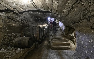 Histoire de la vigne en Bassey Auvergne