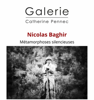 Exposition Métamorphoses silencieuses avec Nicolas Baghir