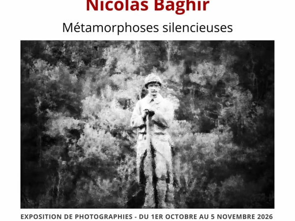 Exposition Métamorphoses silencieuses avec Nicolas Baghir