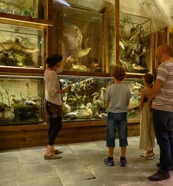 Les animaux de Ferdinand