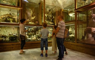 Les animaux de Ferdinand