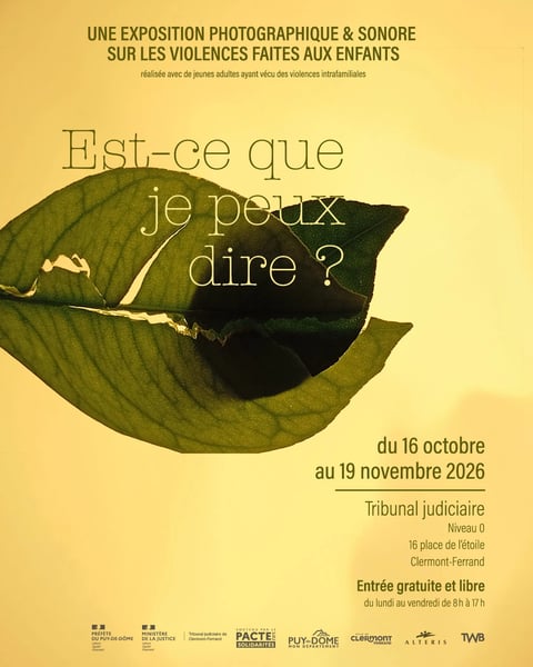 Est-ce que je peux dire ?